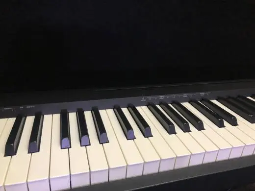 Store Special Product - Roland - FP-10-BK
