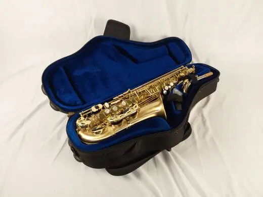 P Mauriat - Le Bravo Alto Saxophone 2