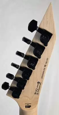 ESP Guitars - LM200FMSTR 2