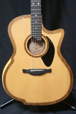 Riversong P2P-GA Acoustic 2
