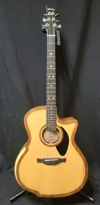 Riversong P2P-GA Acoustic