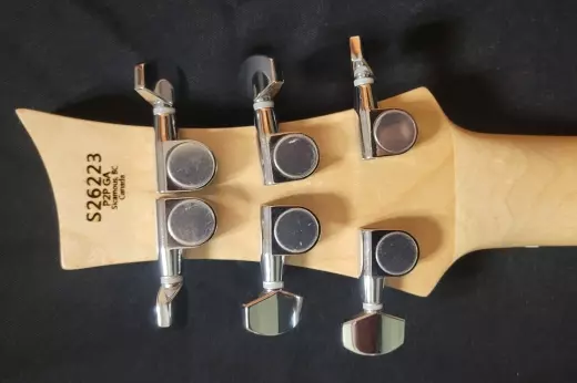 Riversong P2P-GA Acoustic 2