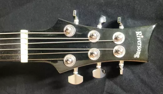 Riversong P2P-GA Acoustic 2