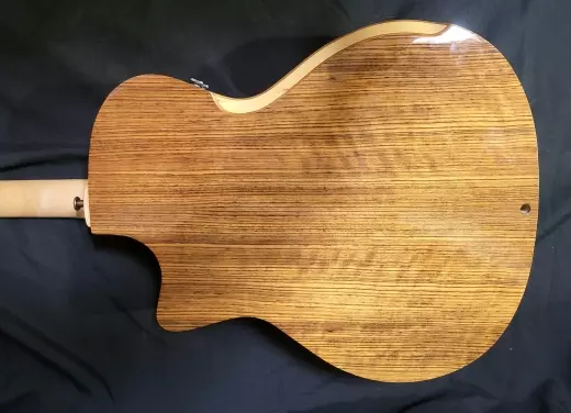 Riversong P2P-GA Acoustic 2