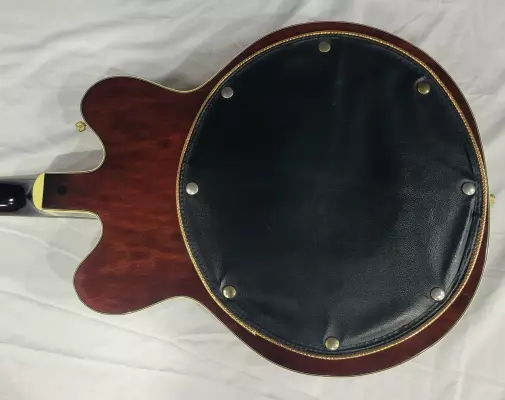 '71 Gretsch Country Gentleman 4