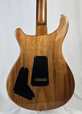 PRS Guitars - Special 2