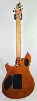 EVH - 510-7701-595 2