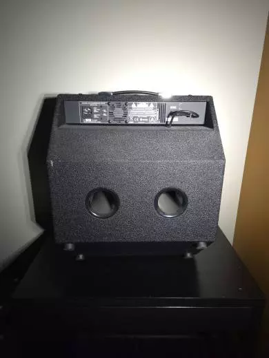 Hartke - 1x15 Kickback Combo 2