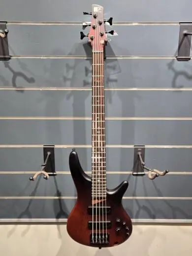 Ibanez - SR505E Limited Edition 5-String Electric Bass Dragon Eye Shade Flat