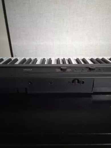 Korg - 88 Key Black Liano 2