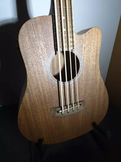 Gold Tone - Micro Bass 2