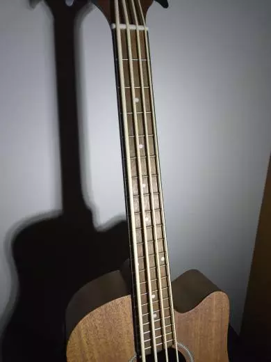 Gold Tone - Micro Bass 2
