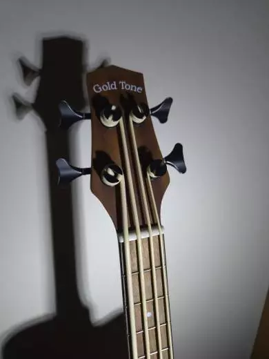 Gold Tone - Micro Bass 2