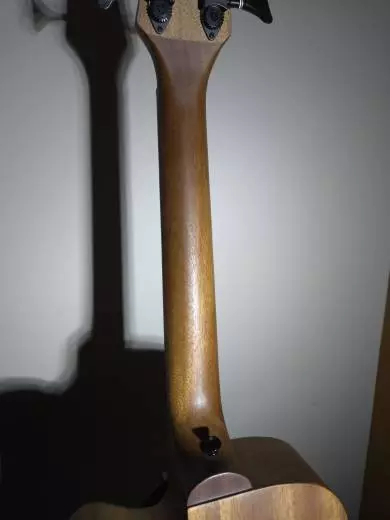 Gold Tone - Micro Bass 2