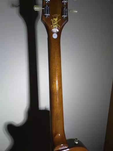 Epiphone - Slash LP Victoria Gold Top 2