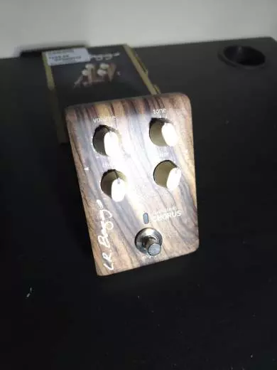 L.R Baggs - Align Chorus