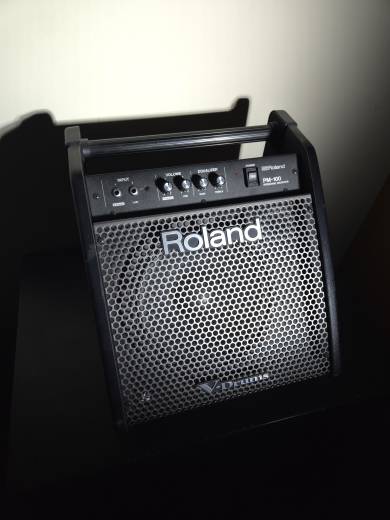 Roland PM-100 Personal Monitor For V-Drums | Long & McQuade