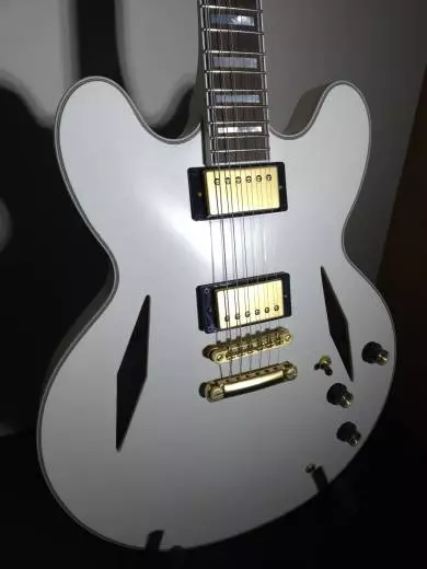 Epiphone - Emily Wolfe Sheraton 2
