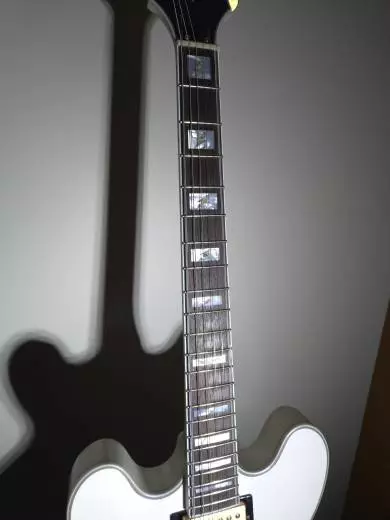 Epiphone - Emily Wolfe Sheraton 2