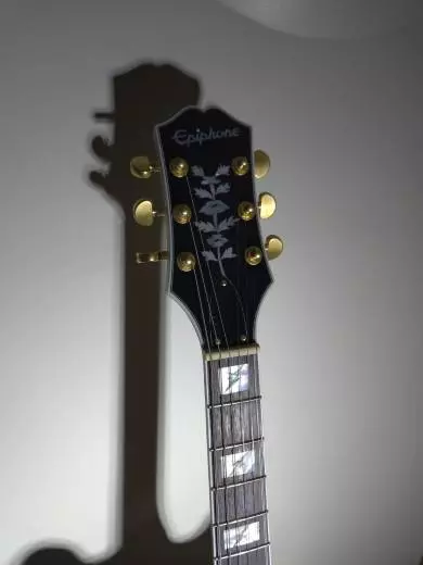 Epiphone - Emily Wolfe Sheraton 2