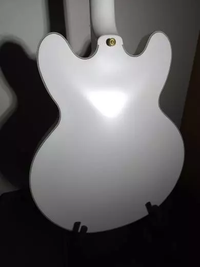 Epiphone - Emily Wolfe Sheraton 2