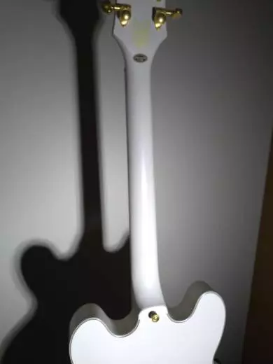 Epiphone - Emily Wolfe Sheraton 2