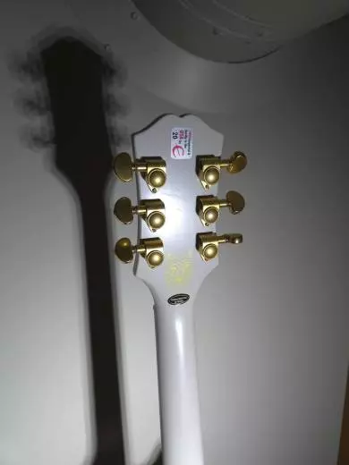 Epiphone - Emily Wolfe Sheraton 2