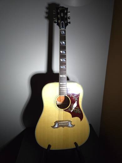 Store Special Product - Gibson - Dove Original