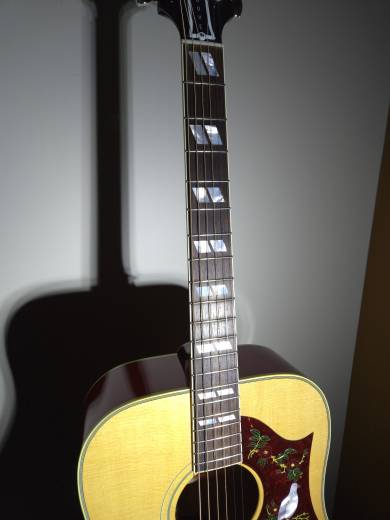 Store Special Product - Gibson - Dove Original