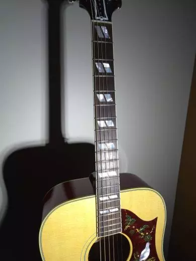 Gibson - Dove Original 2