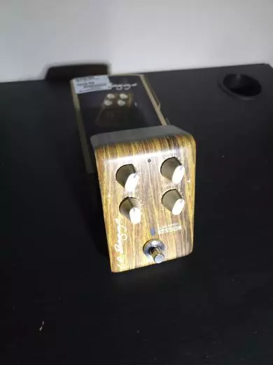 L.R Baggs - Align Session