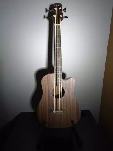 Gold Tone - Micro Bass