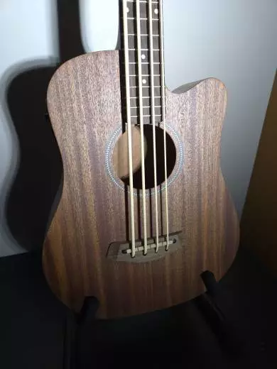 Gold Tone - Micro Bass 2