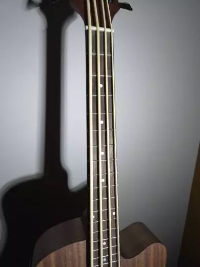 Gold Tone - Micro Bass 2