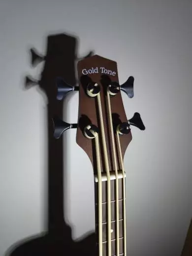 Gold Tone - Micro Bass 2