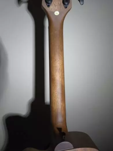 Gold Tone - Micro Bass 2