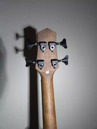 Gold Tone - Micro Bass 2