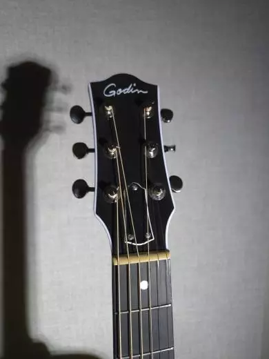 Godin Guitars - Rialto Jr. Santina Gray 2