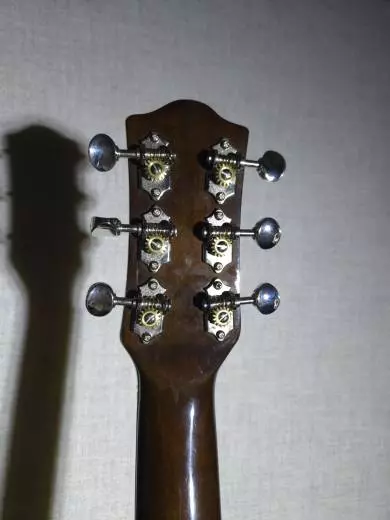 Godin Guitars - Rialto Jr. Santina Gray 2