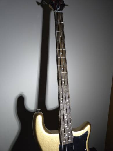 Epiphone - Embassy Bass Smoked Almond Metallic 2