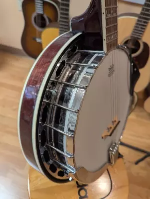Washburn B-16 w/case 2