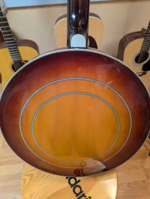 Washburn B-16 w/case 2