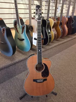 Takamine - LTD2022