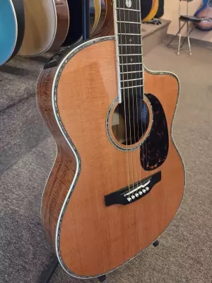 Takamine - LTD2022 2