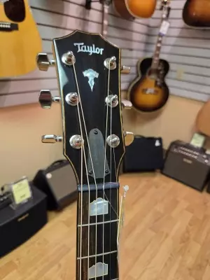 Taylor Guitars - 618E 3