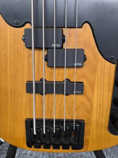 Schecter Model T Diamond Series Session 5 String Bass 2