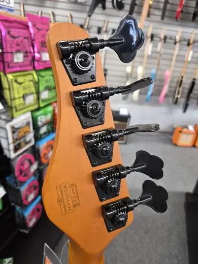 Schecter Model T Diamond Series Session 5 String Bass 2