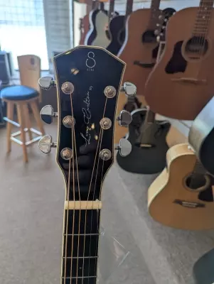 Sire A3 acoustic 2