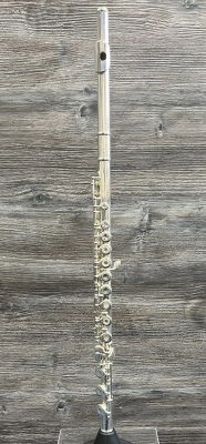 Yamaha Band - YFL481H