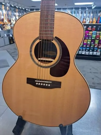 Seagull - Maritime Mini Jumbo 2